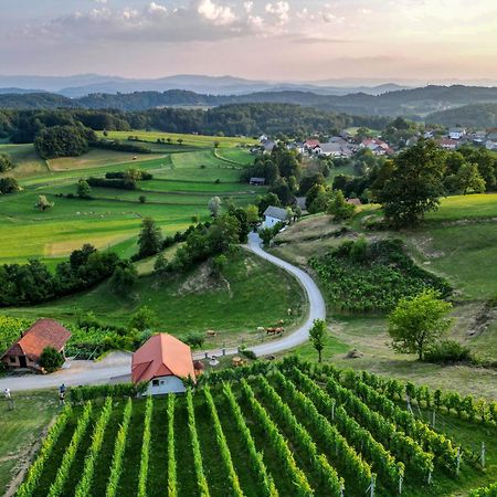 Vineyard Cottage Krivic Trebelno Esterno foto