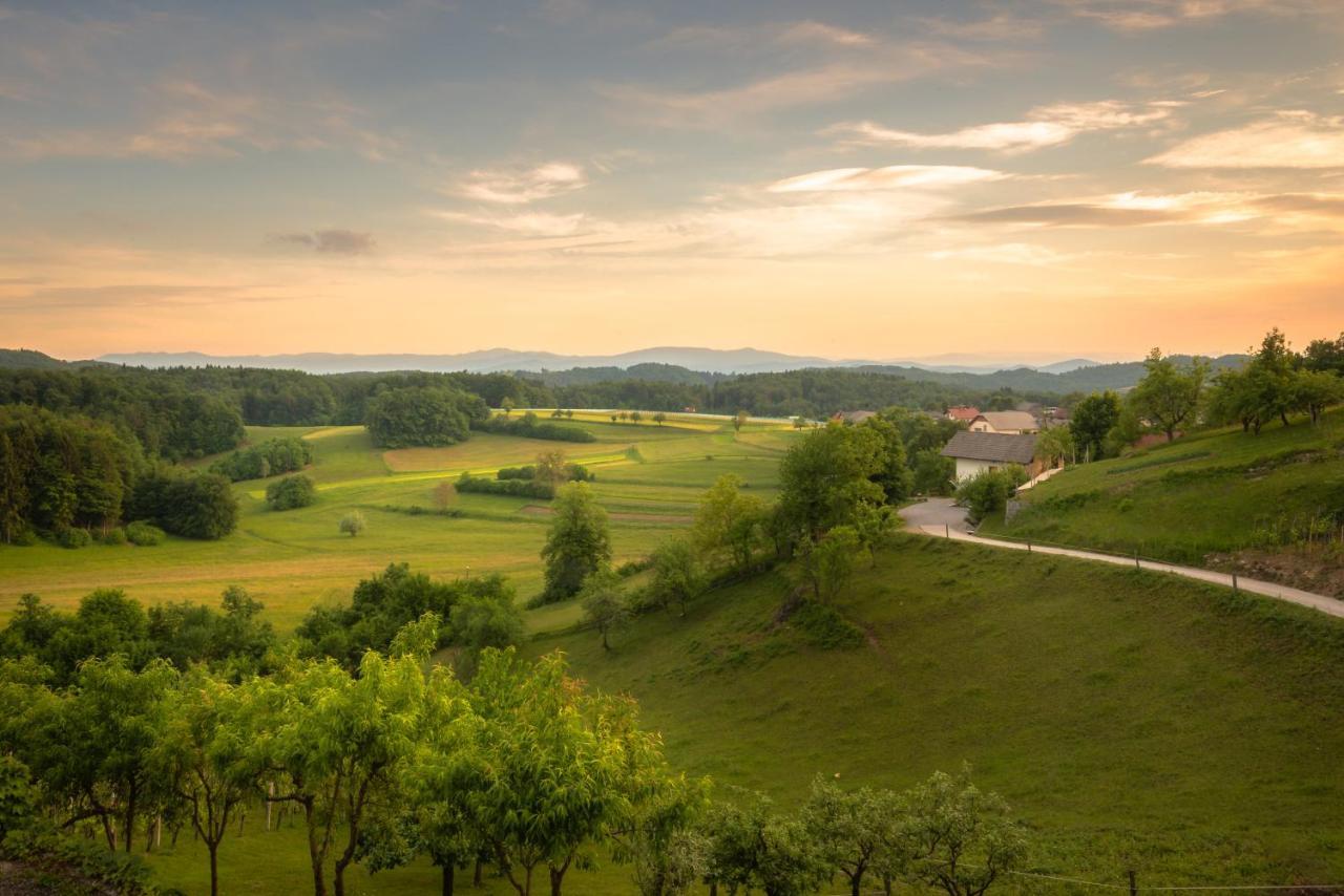 Vineyard Cottage Krivic Trebelno Esterno foto