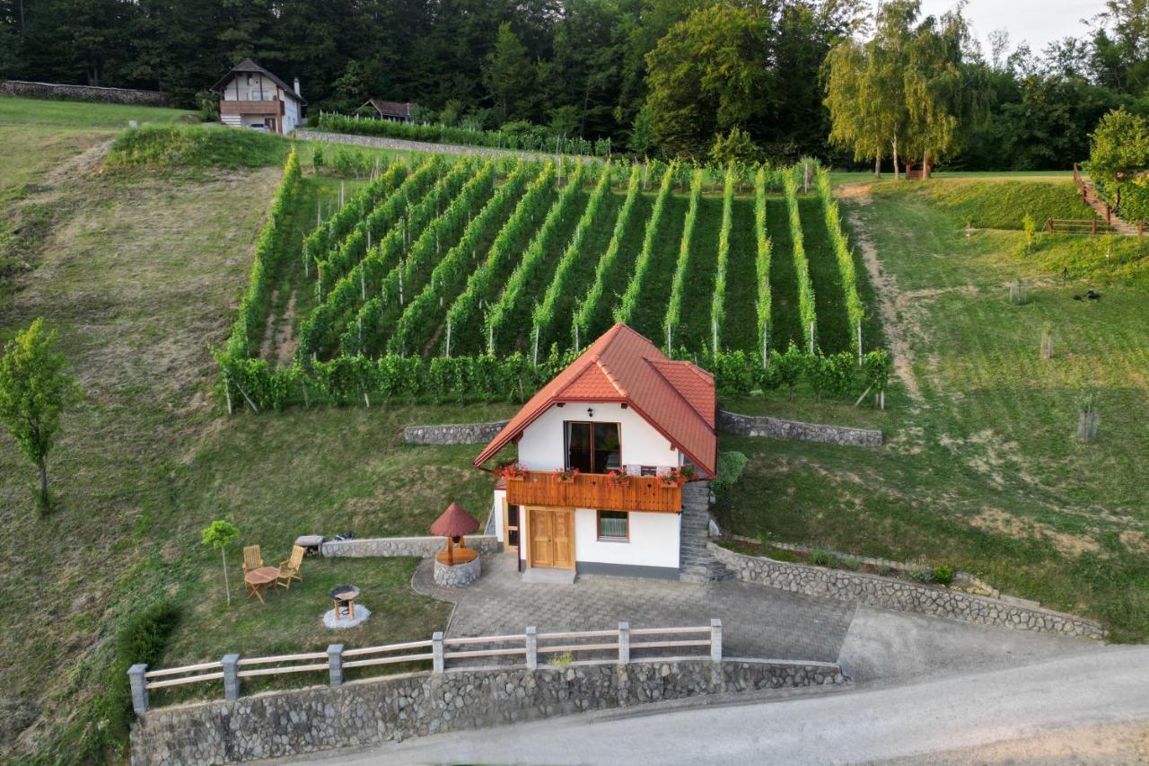 Vineyard Cottage Krivic Trebelno Esterno foto