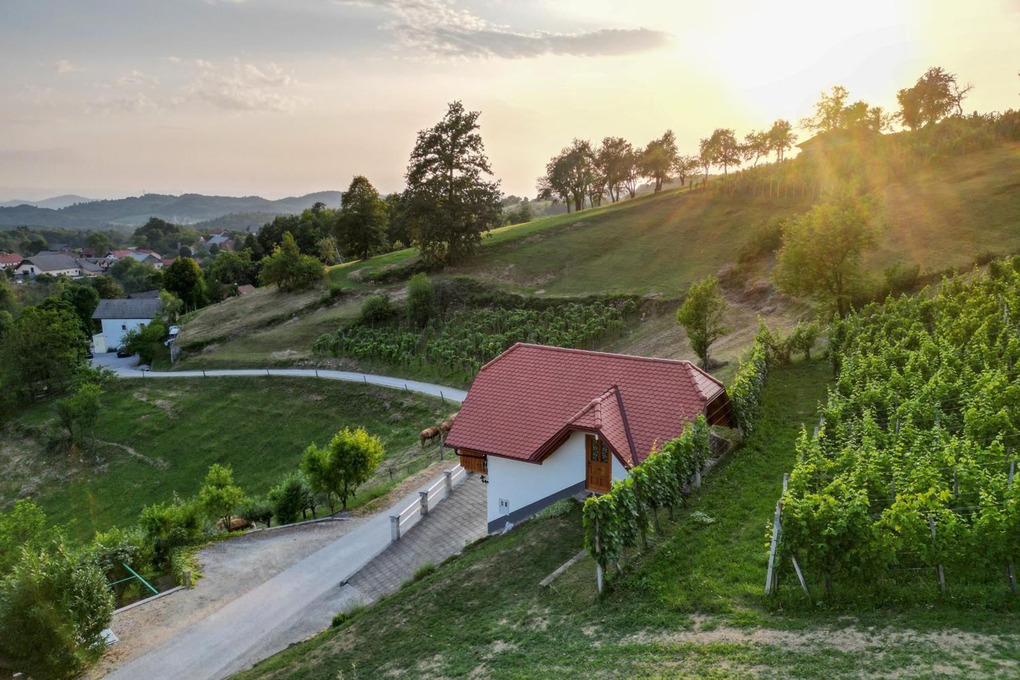 Vineyard Cottage Krivic Trebelno Esterno foto