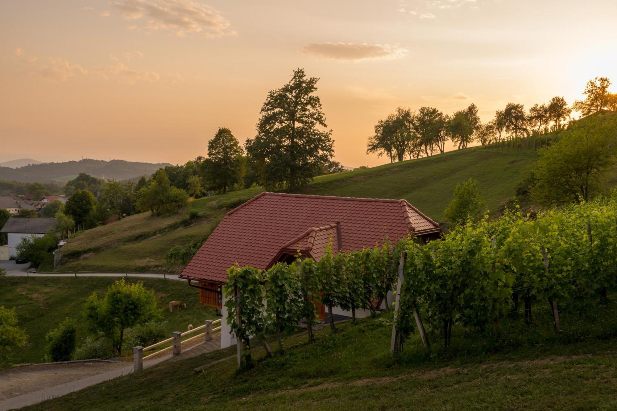 Vineyard Cottage Krivic Trebelno Esterno foto