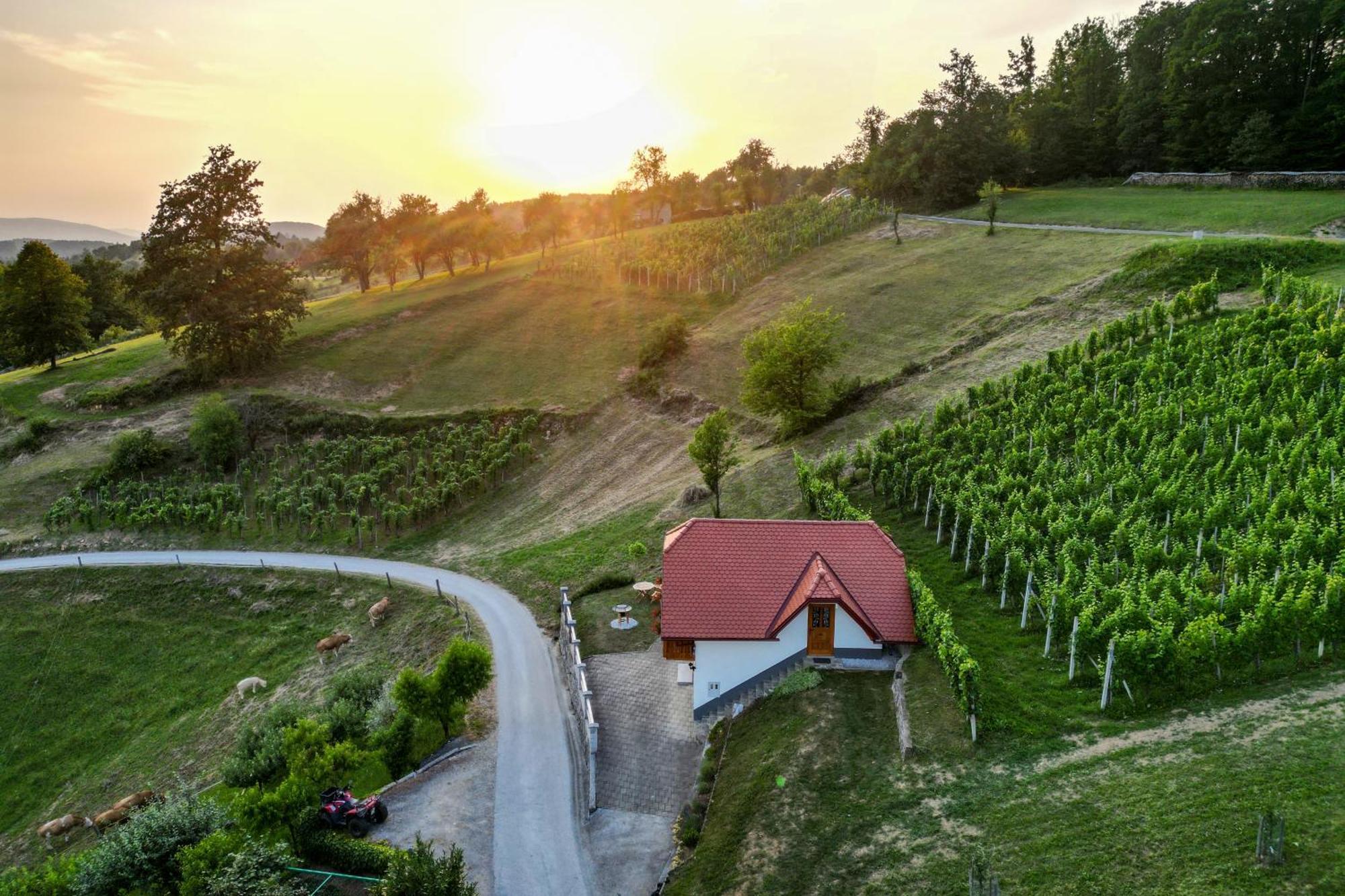 Vineyard Cottage Krivic Trebelno Esterno foto