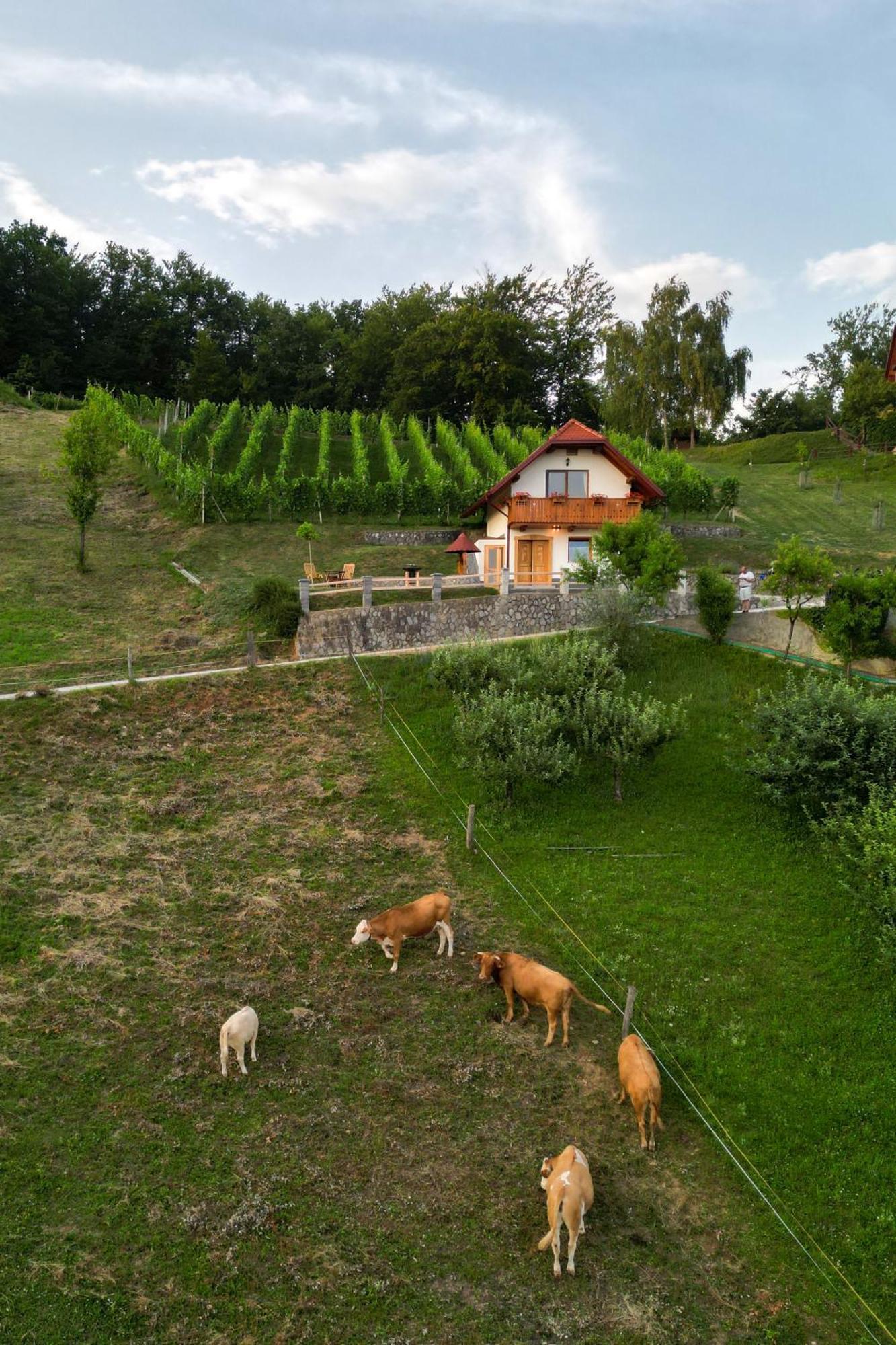 Vineyard Cottage Krivic Trebelno Esterno foto