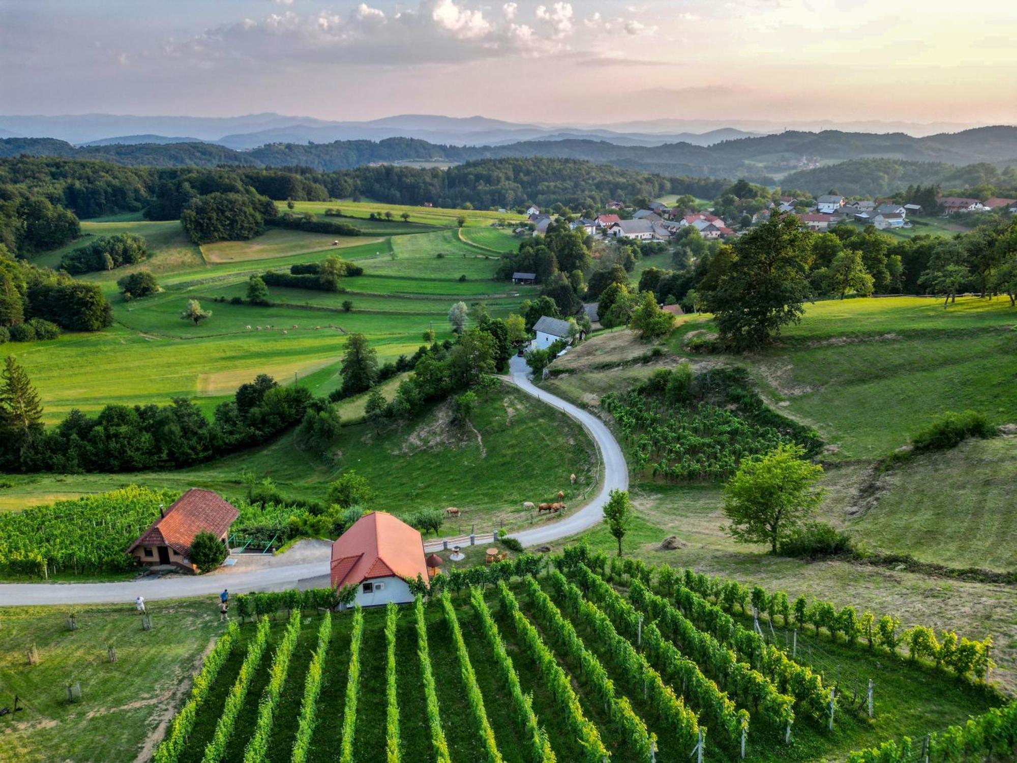 Vineyard Cottage Krivic Trebelno Esterno foto