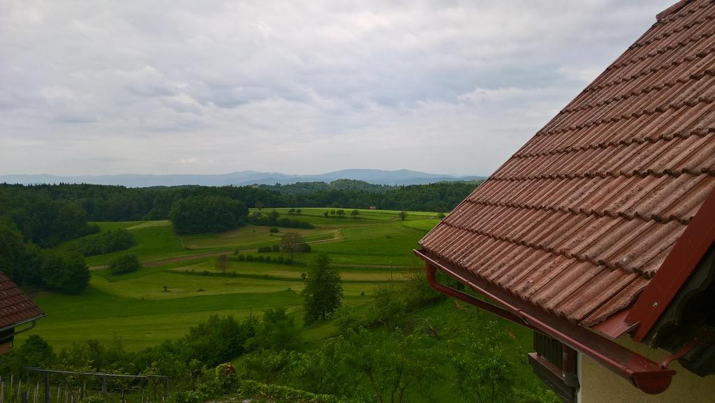 Vineyard Cottage Krivic Trebelno Esterno foto